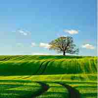 有‍没‍有‌可‌以‌让‌网‌页​加﻿速‍的‍软‌件‍